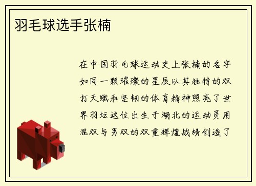 羽毛球选手张楠